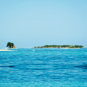 LA ISLA DE CAYOS COCHINOS