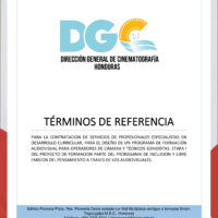 CONSULTORIA No.CI-001-DGC-2023 PARA CONTRATACION DE SERVICIOS PARA EL DISEÑO DE PROGRAMA DE FORMACIÓN AUDIOVISUAL DE OPERADORES DE CÁMARA Y TÉCNICOS SONIDISTAS, PARA LA ETAPA I DEL PROYECTO DE FORMACION PARTE DEL PRORAGAMA DE INCLUSION Y LIBRE EMISION DEL PENSAMIENTO A TRAVES DE LOS AUDIOVISUALES
